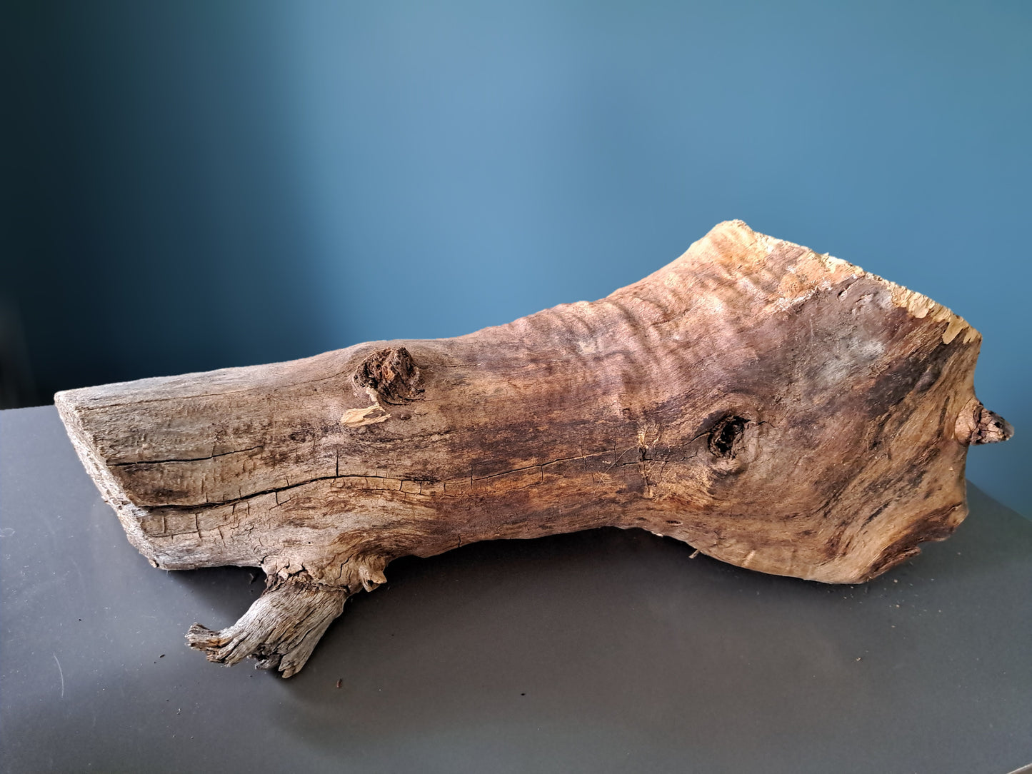 Wooden Burl Planter