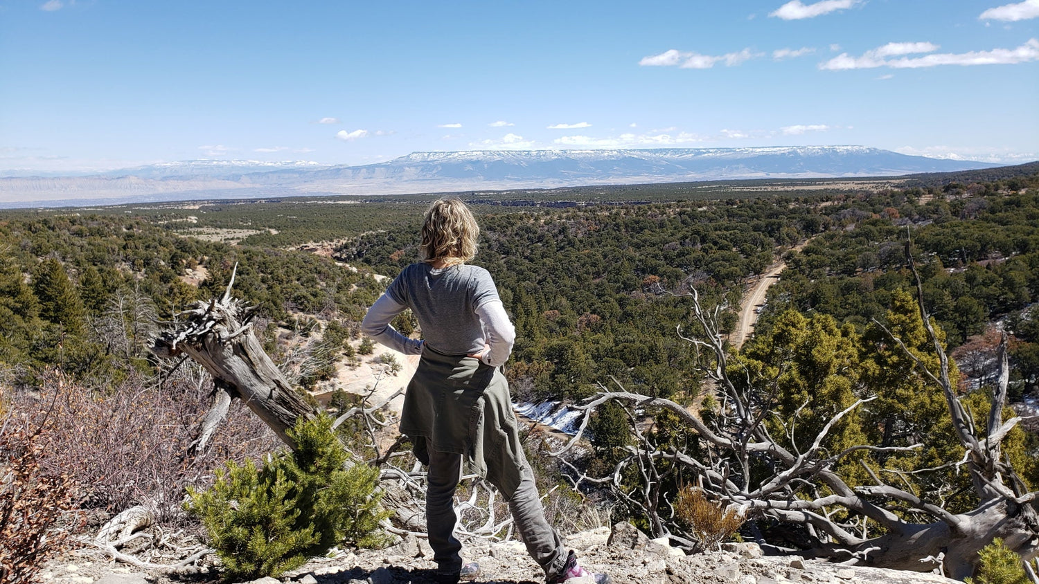 Person standing on a rocky outcrop overlooking a vast landscape with mountains in the distance.