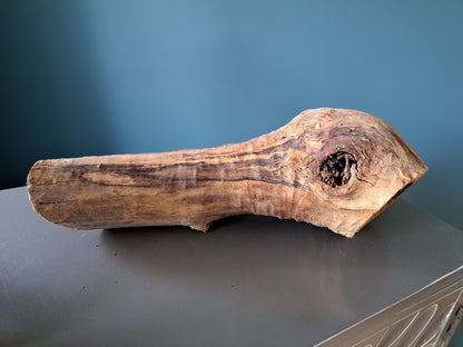 Wooden Burl Planter