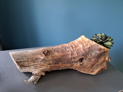 Wooden Burl Planter