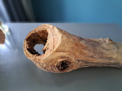 Wooden Burl Planter