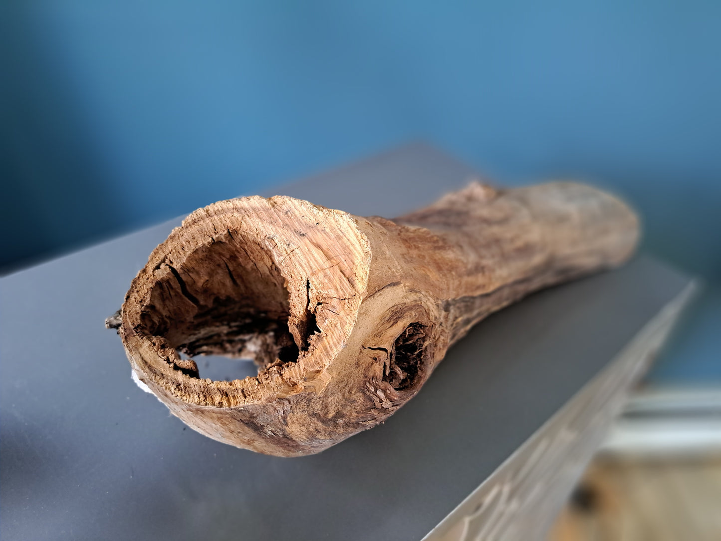 Wooden Burl Planter