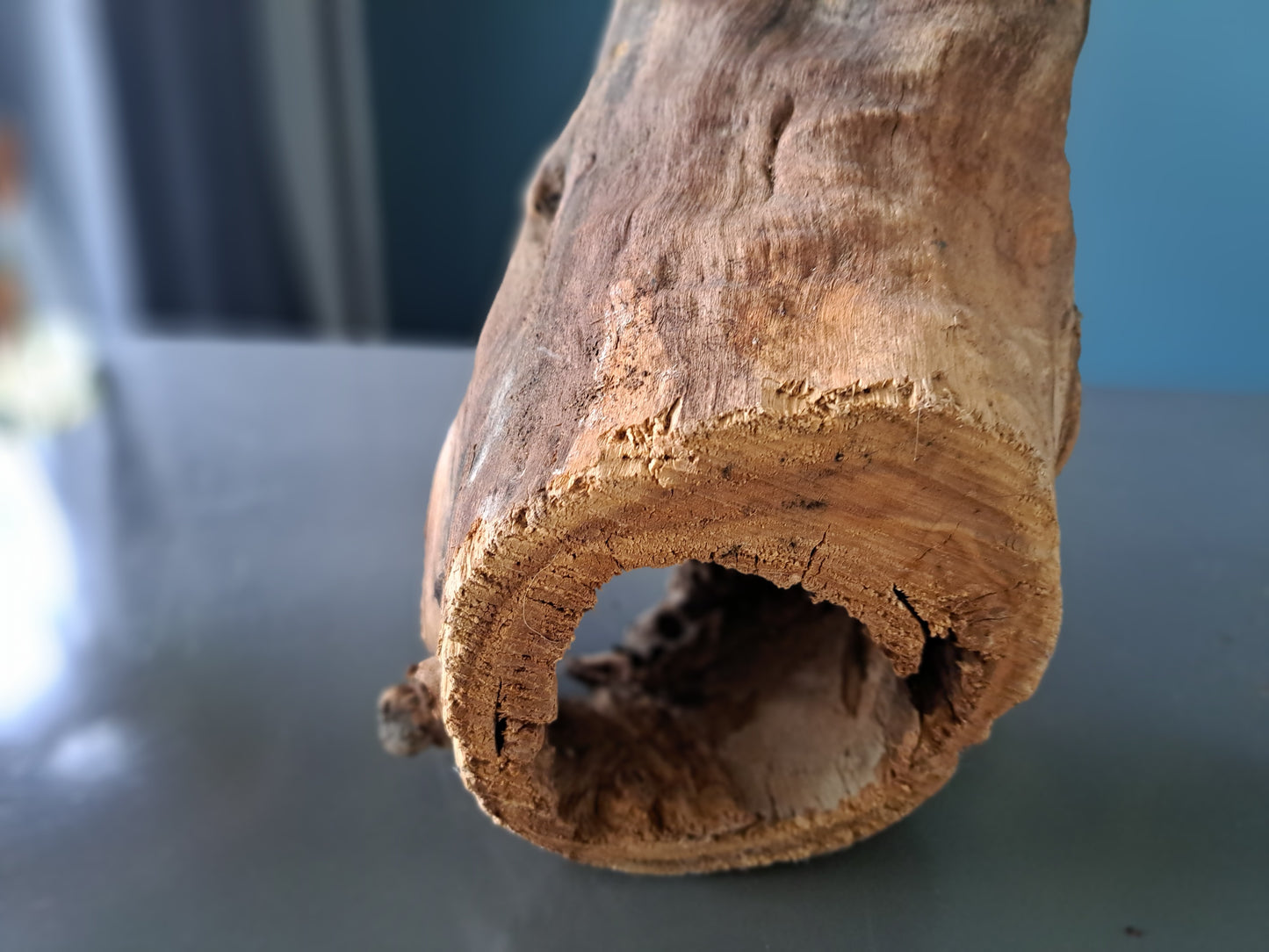 Wooden Burl Planter