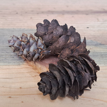 Three dried pine cones on a wooden surface